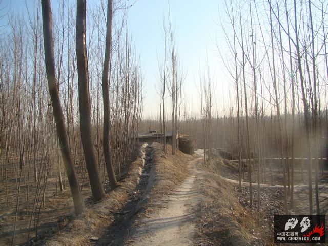 DSC06772.JPG