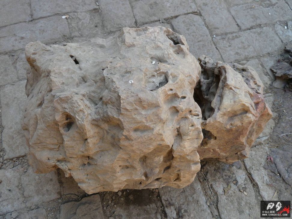 P1000350.JPG