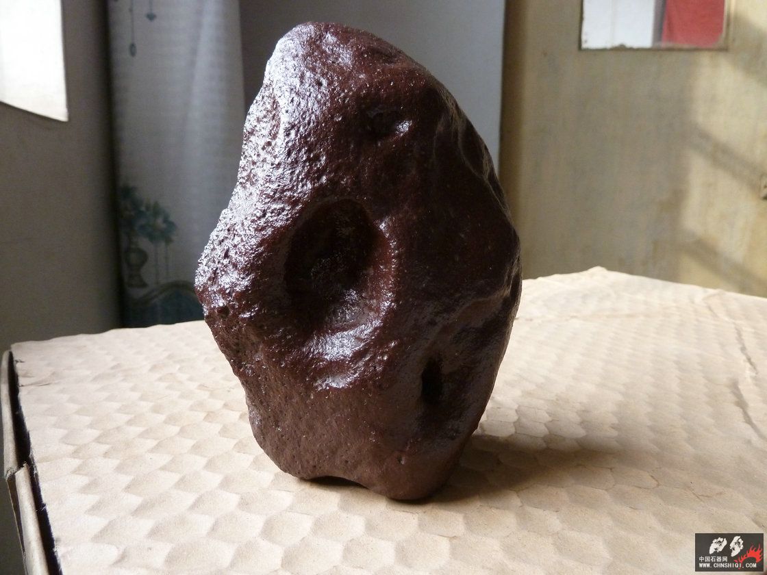 P1000550.JPG