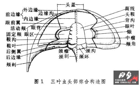 200722004842530.jpg