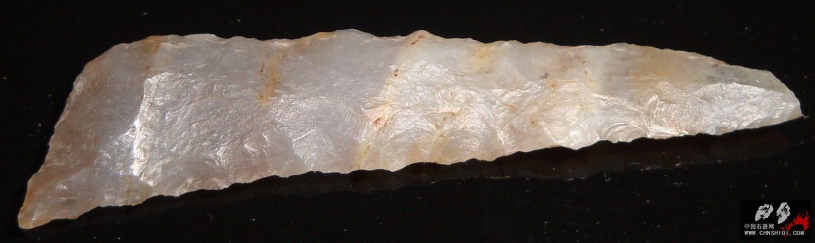 DSC03578.jpg