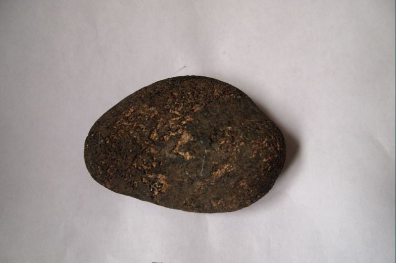 PB070239.JPG
