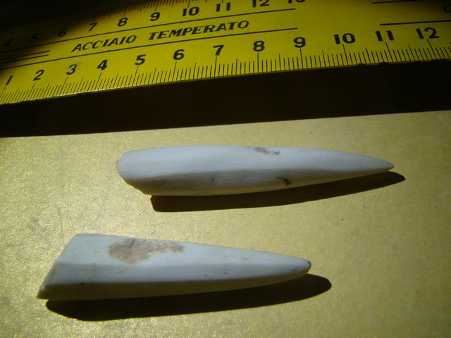 DSC08441.JPG