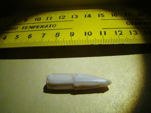 DSC08514.JPG