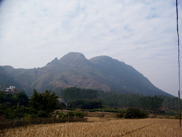春节寻宝 015.jpg