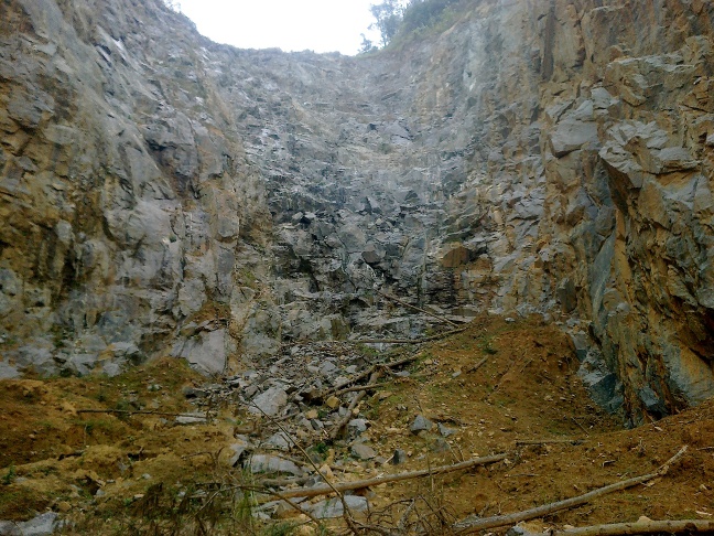 20110203011.jpg