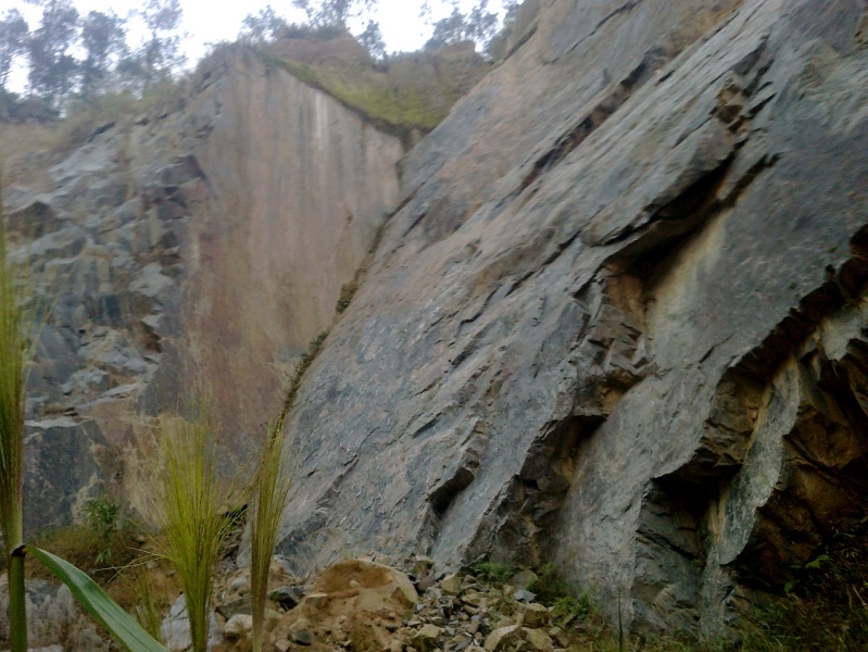20110203029.jpg