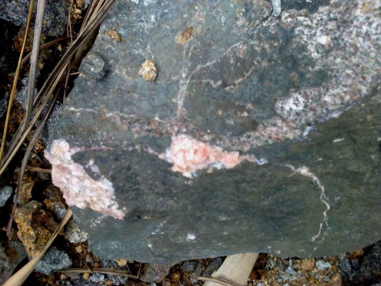 20110203031.jpg