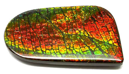 AMMOLITE-GROS.jpg