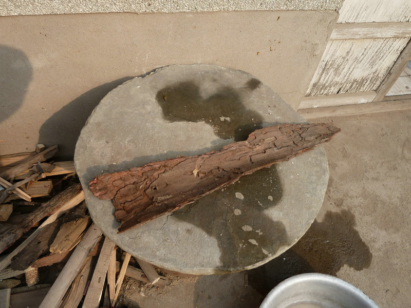 P1000884.JPG
