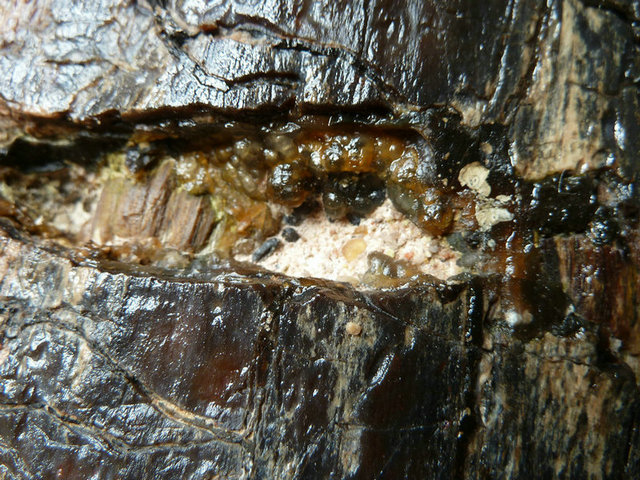 P1000887.JPG