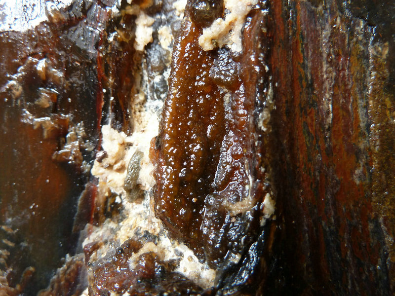 P1000891.JPG