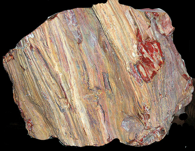 opalized petrified Chinle formation, upper triassic, Holbrook, Arizona, USA.gif