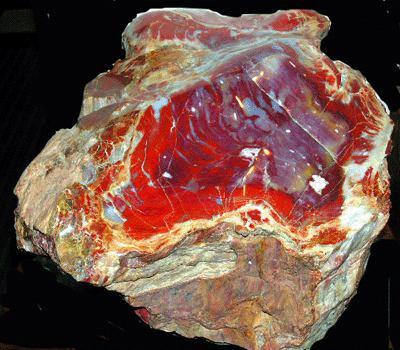Chinle formation, upper triassic, Holbrook, Arizona, USA.gif