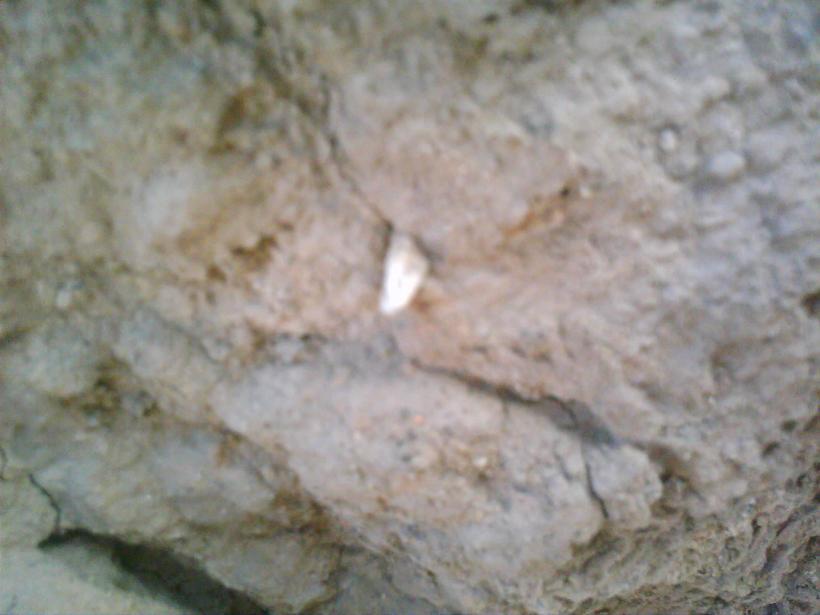 DSC_0000997.jpg