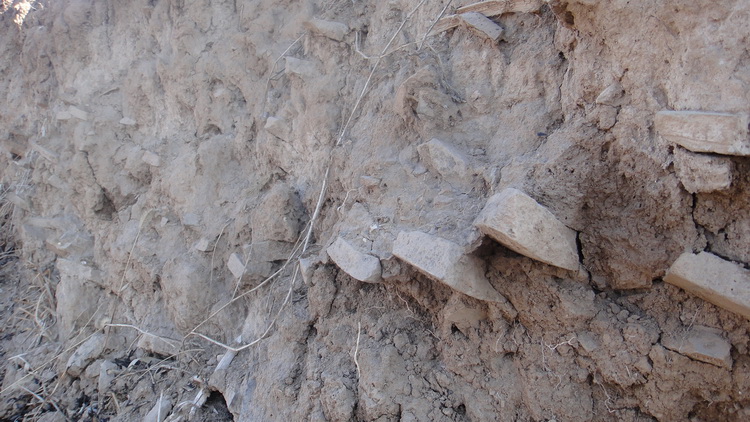 DSC00347_调整大小.JPG