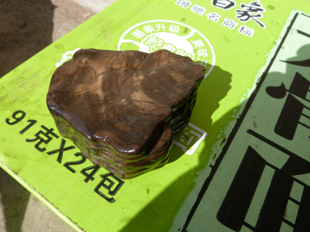 P1000925.JPG