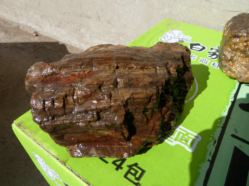 P1000917.JPG