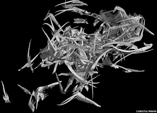 20111101E03B72C51CA407B8EC2877665FCB6E4.jpg