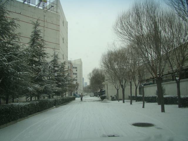 DSC08530.JPG