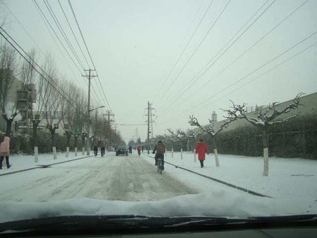 DSC08526.JPG