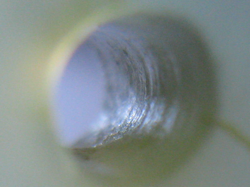 照片bf010.JPG