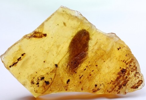 keba.JPG