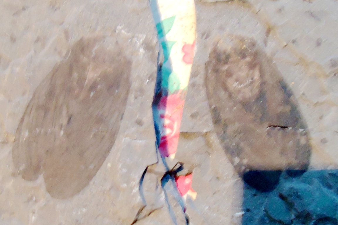DSC05782.JPG