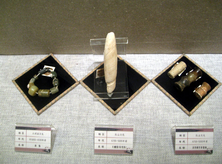 复件 IMG_5744.JPG