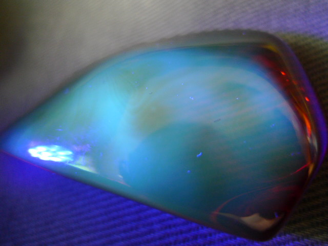 P1050926.JPG
