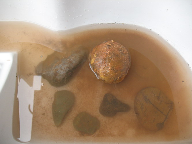 照片 046.jpg