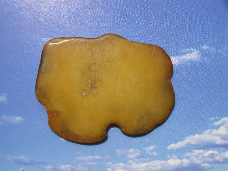 tbIMG_7040.jpg