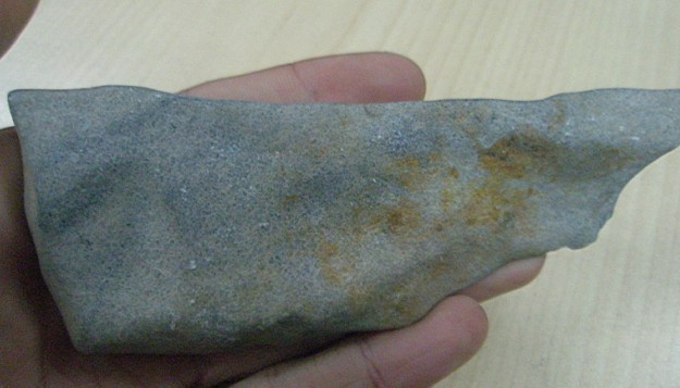 55.jpg