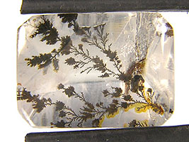 Dendritic Quartz.JPG