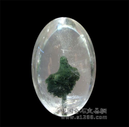 绿帘石包裹体水晶《舞坛奇葩》.jpg