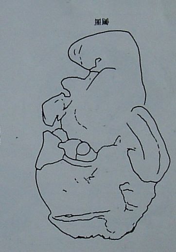 女神像2.JPG