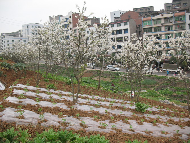 照片 070.jpg