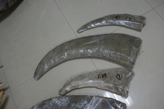 IMG_-3.jpg