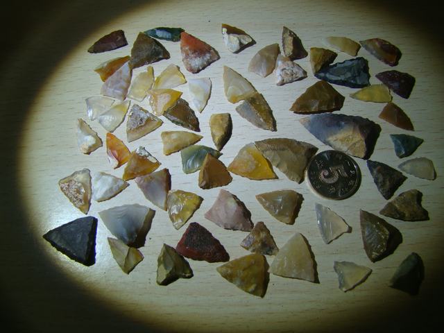 DSC08875.JPG