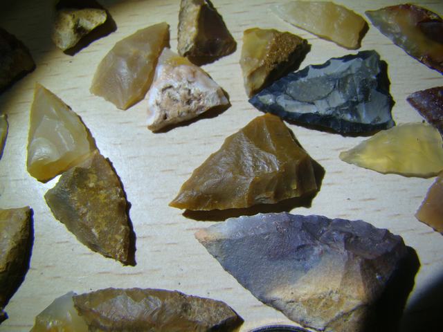 DSC08871.JPG