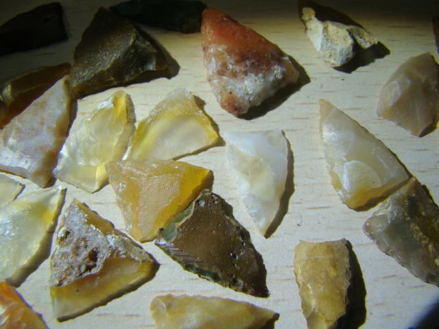 DSC08870.JPG