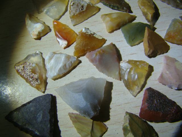DSC08872.JPG
