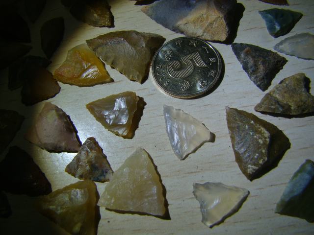 DSC08873.JPG