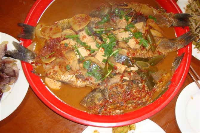 沙坝吃鱼2.jpg