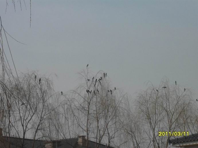 SDC16854.JPG