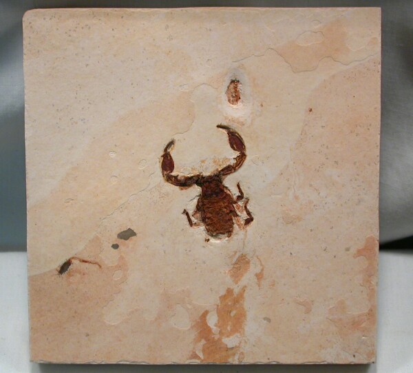 AAF257A.jpg