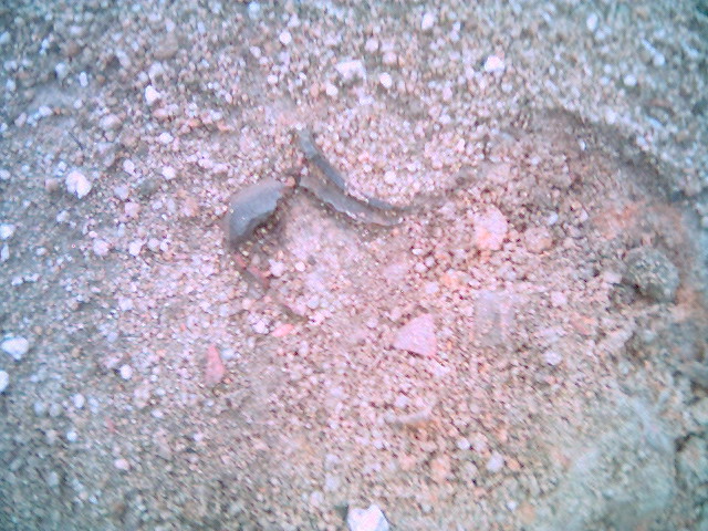 12A.jpg