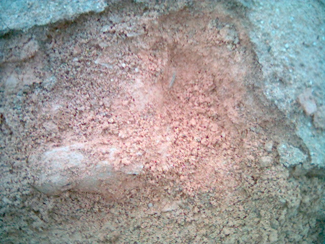 11A.jpg