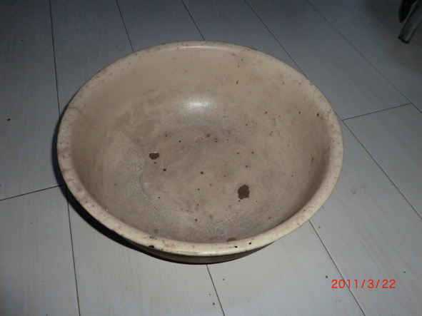 CIMG0978.jpg