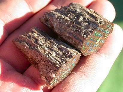 Conk Opals  Bonanza opal mine in Northern Nevada.2.jpg